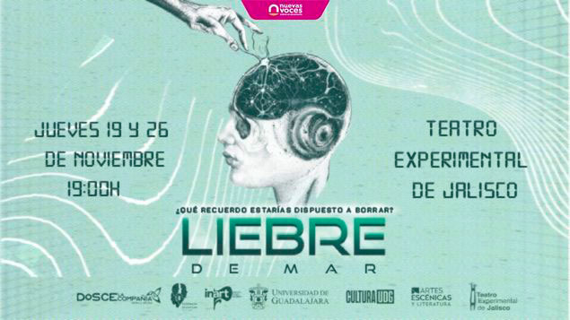 Liebre de mar